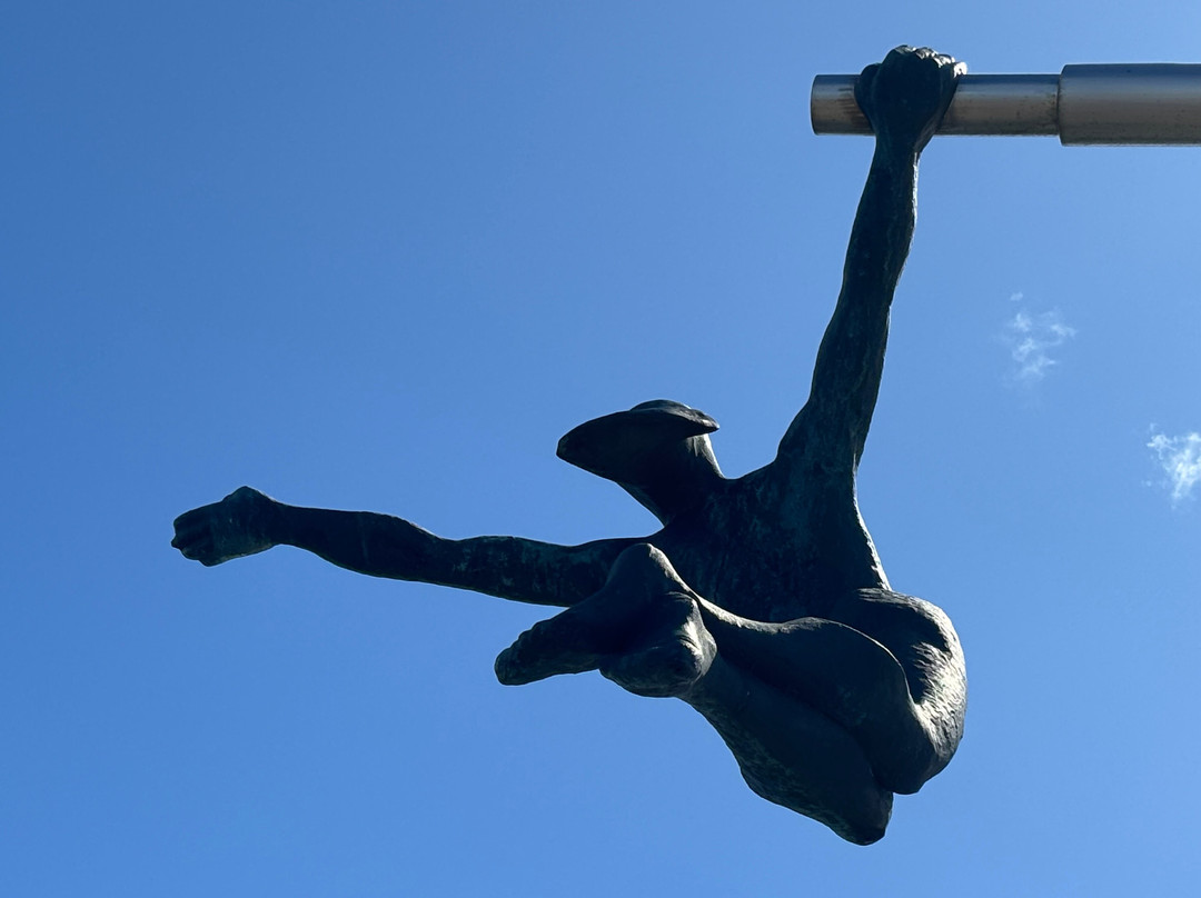 Pingo Salvaje-纳塔莱斯港必去景点