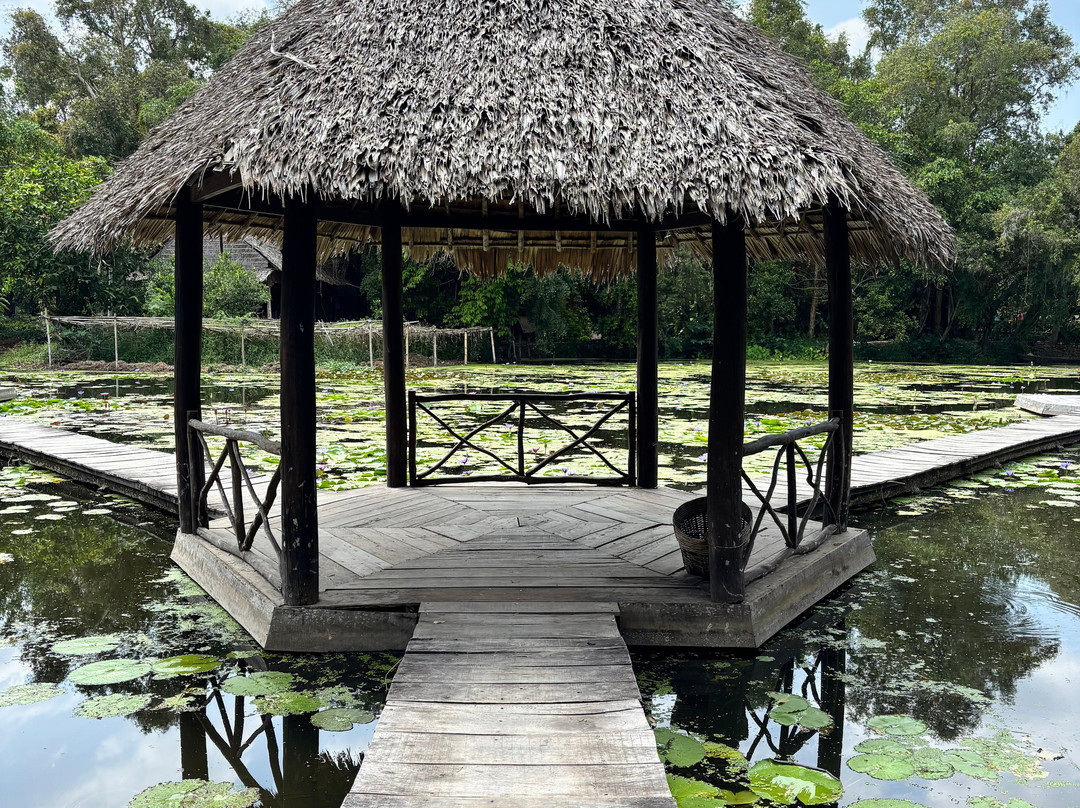 Xeo Quyt Relic Area-Cao Lanh必去景点