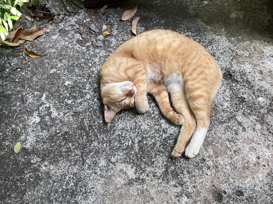 Art's Riverview Lodge主图