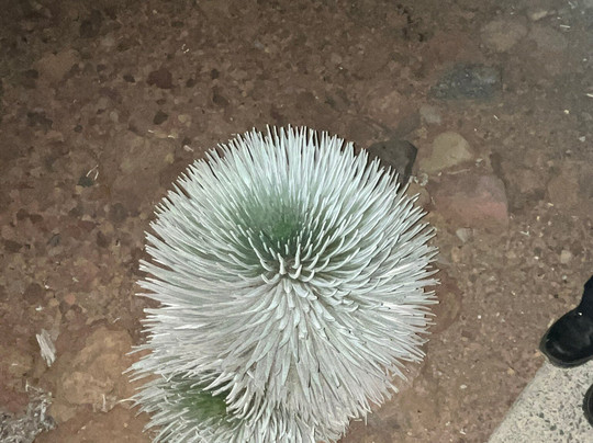Haleakala Ecotours-海库必去景点