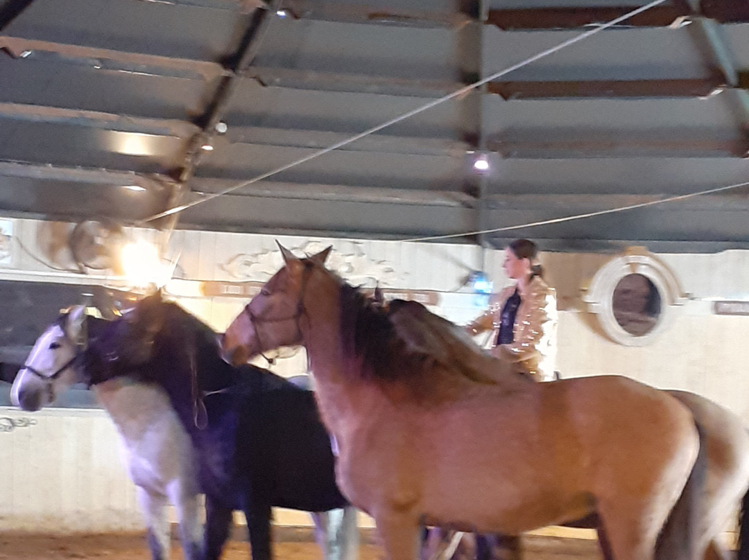 Cabaret Equestre des Sables-勒格罗迪鲁瓦必去景点