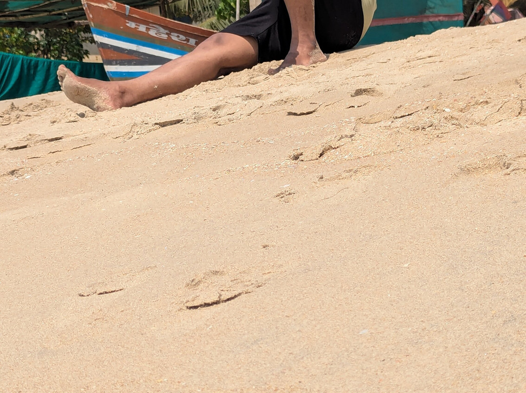 Sagar Sparsh - The Sea Touch主图