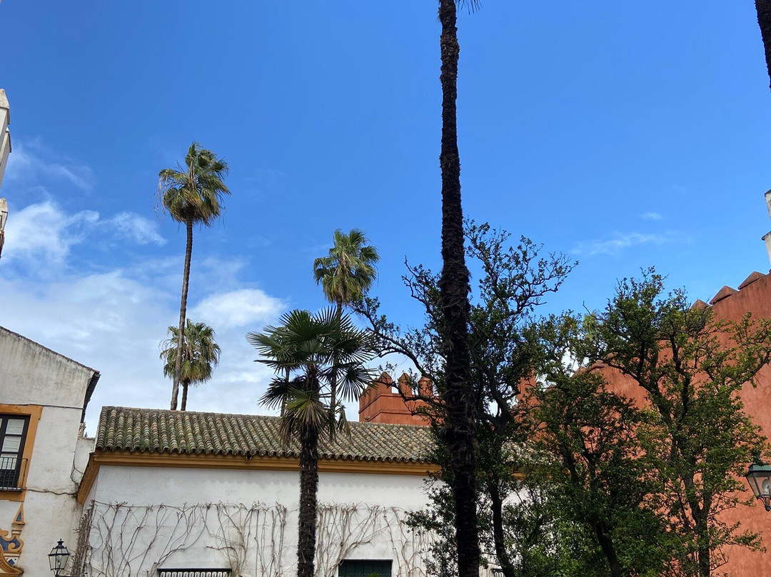 Alcazar de la Puerta de Sevilla-卡莫纳必去景点