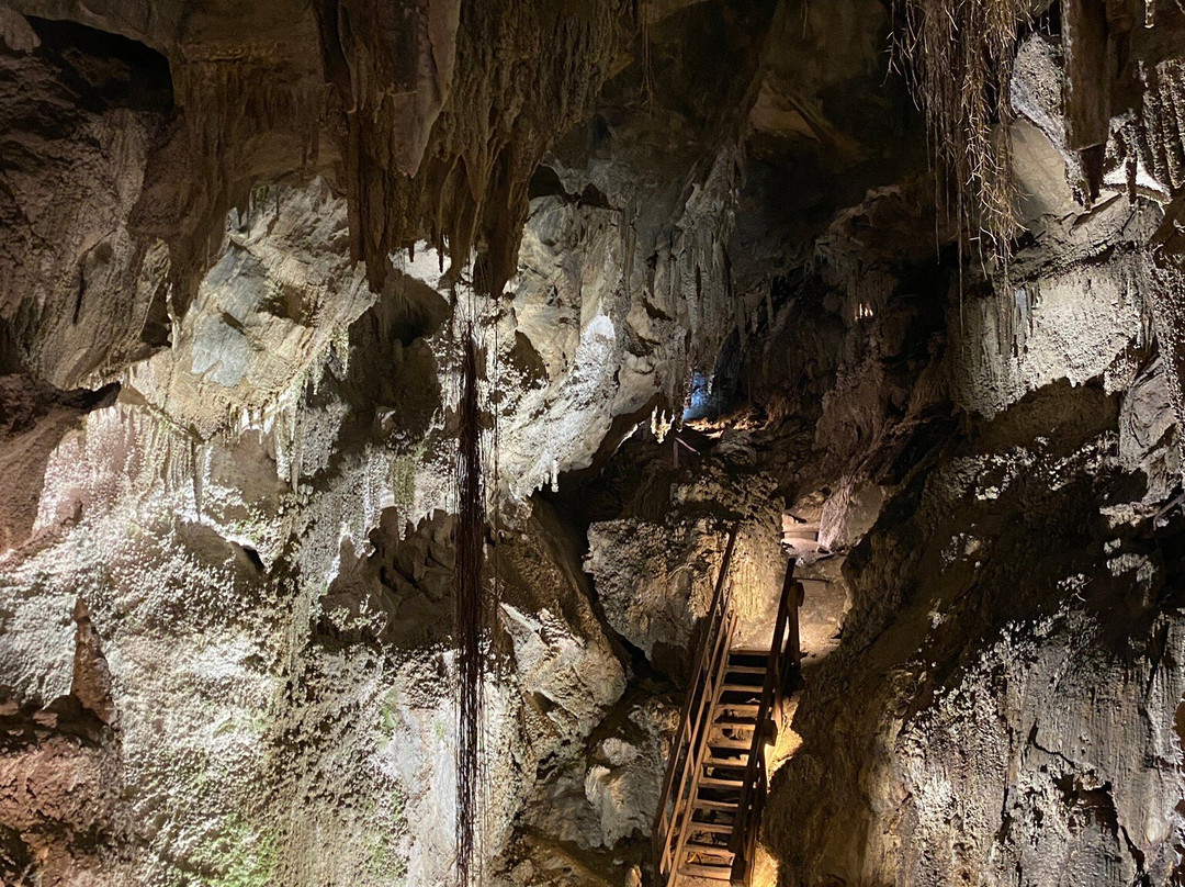 Ngarua Caves-莫图伊卡必去景点