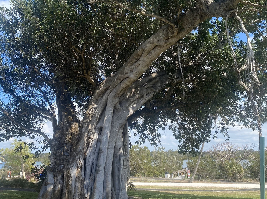 Mound House-迈尔斯堡海滩必去景点