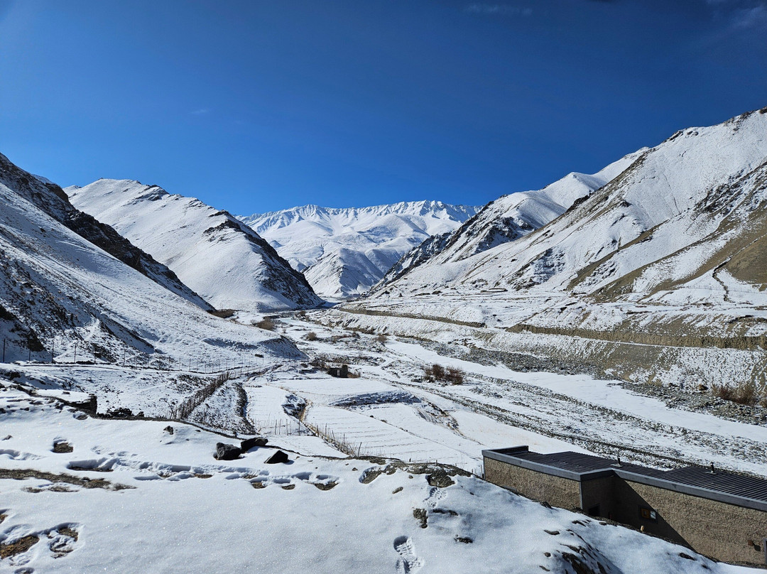 Wildlife Expeditions India景点图片