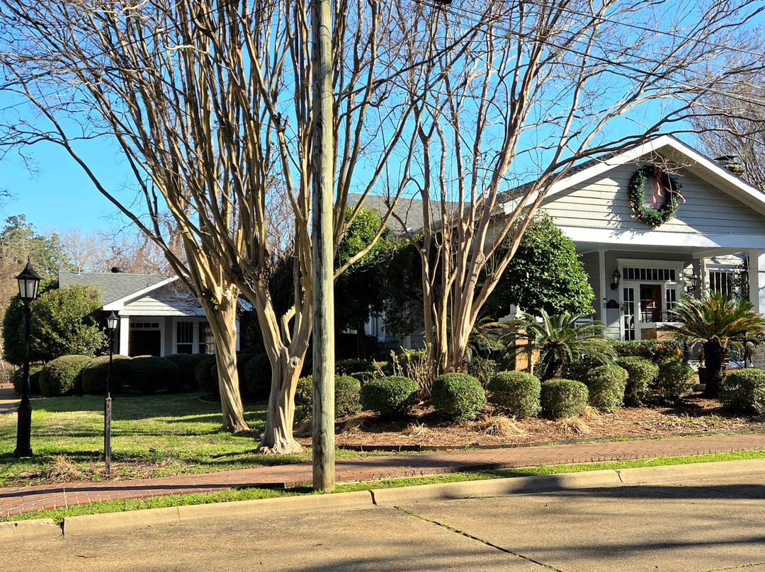 The Rusca House主图