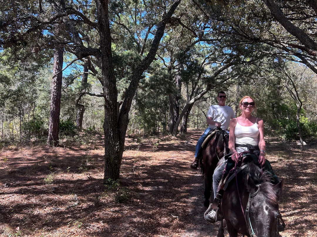 Choyce LLC-San Antonio必去景点