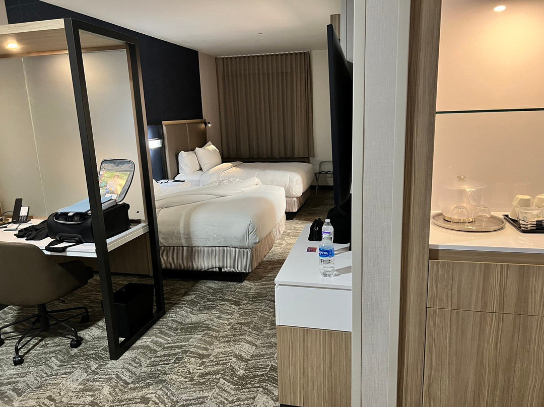 卡纳布SpringHill Suites酒店