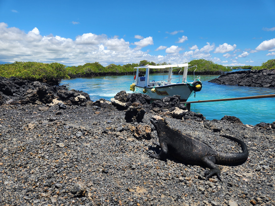 Kajol Lavan Travel, Galapagos Islands