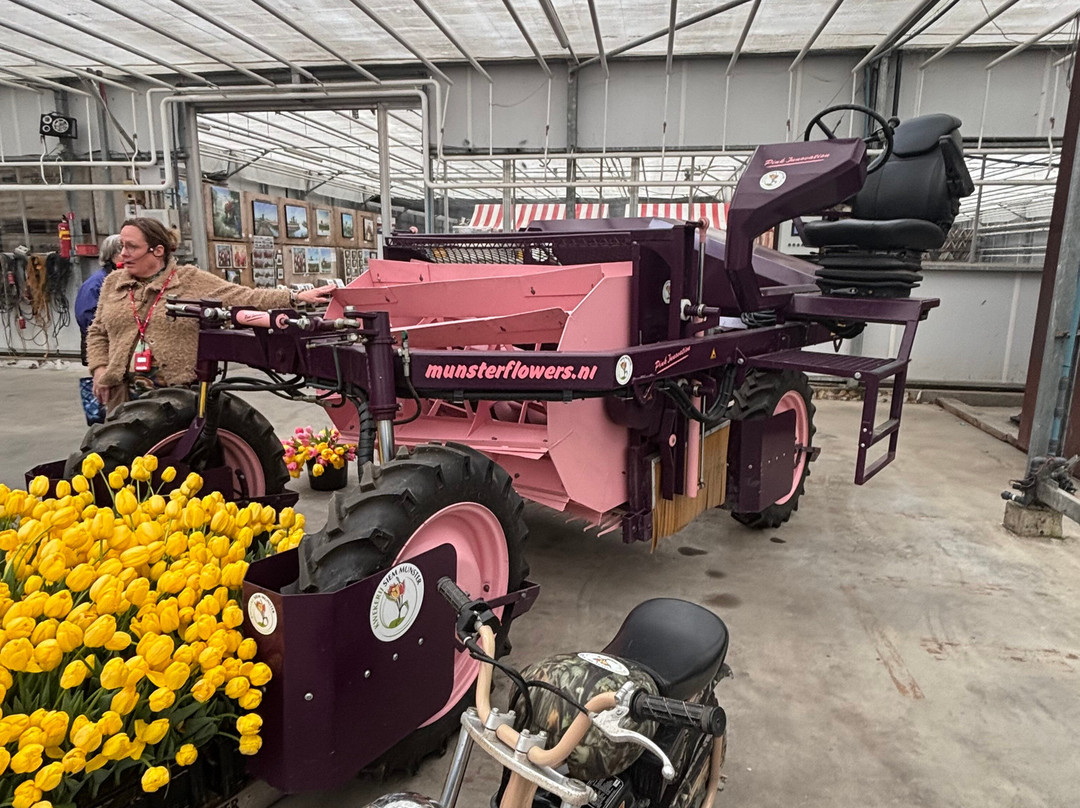 Kwekerij Siem Munster (Tulip Excursion)-Slootdorp必去景点