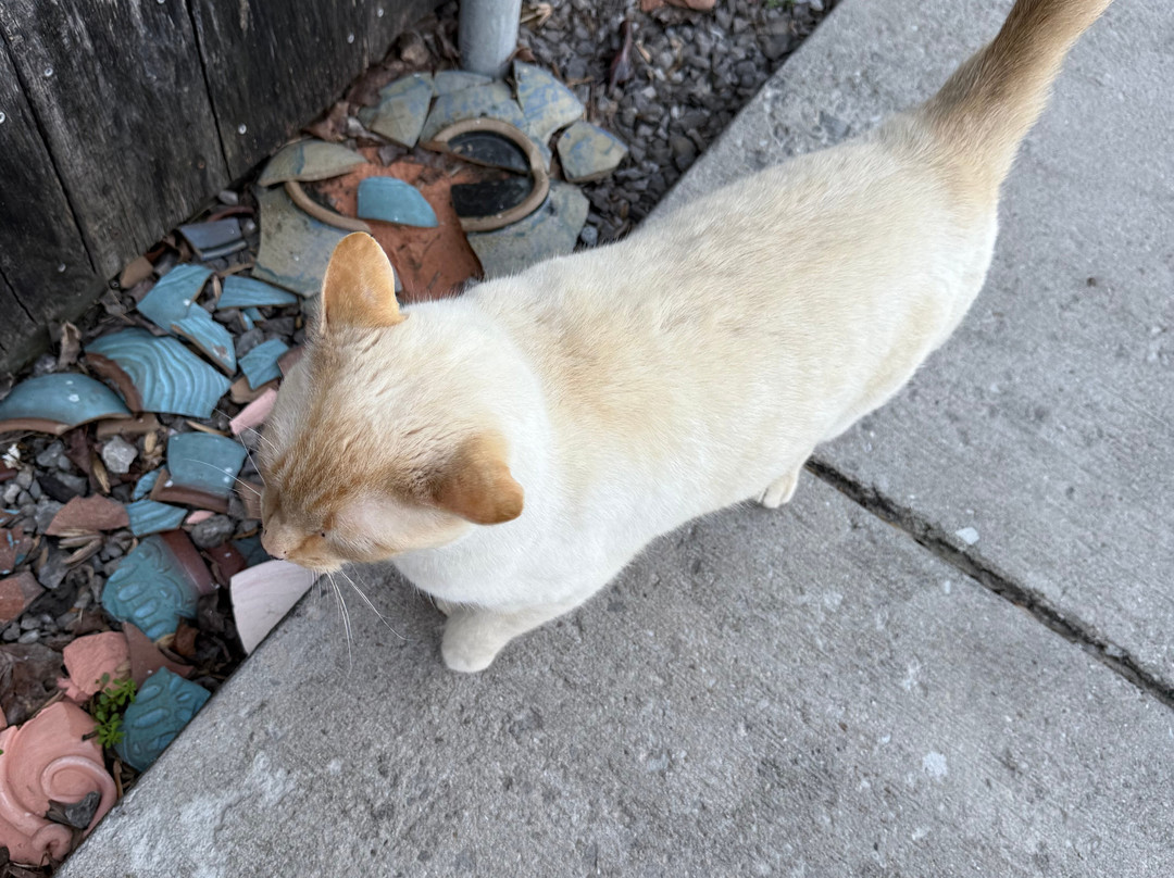 Short Mountain Distillery-Woodbury必去景点