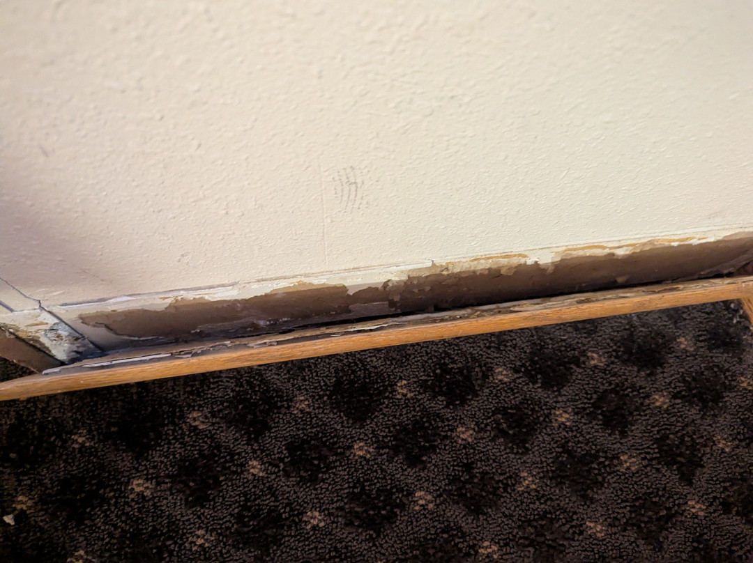 Everspring Inn主图