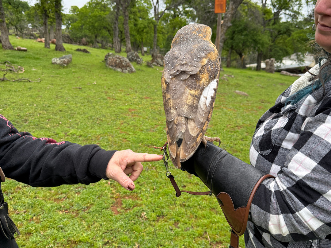 West Coast Falconry-Marysville必去景点