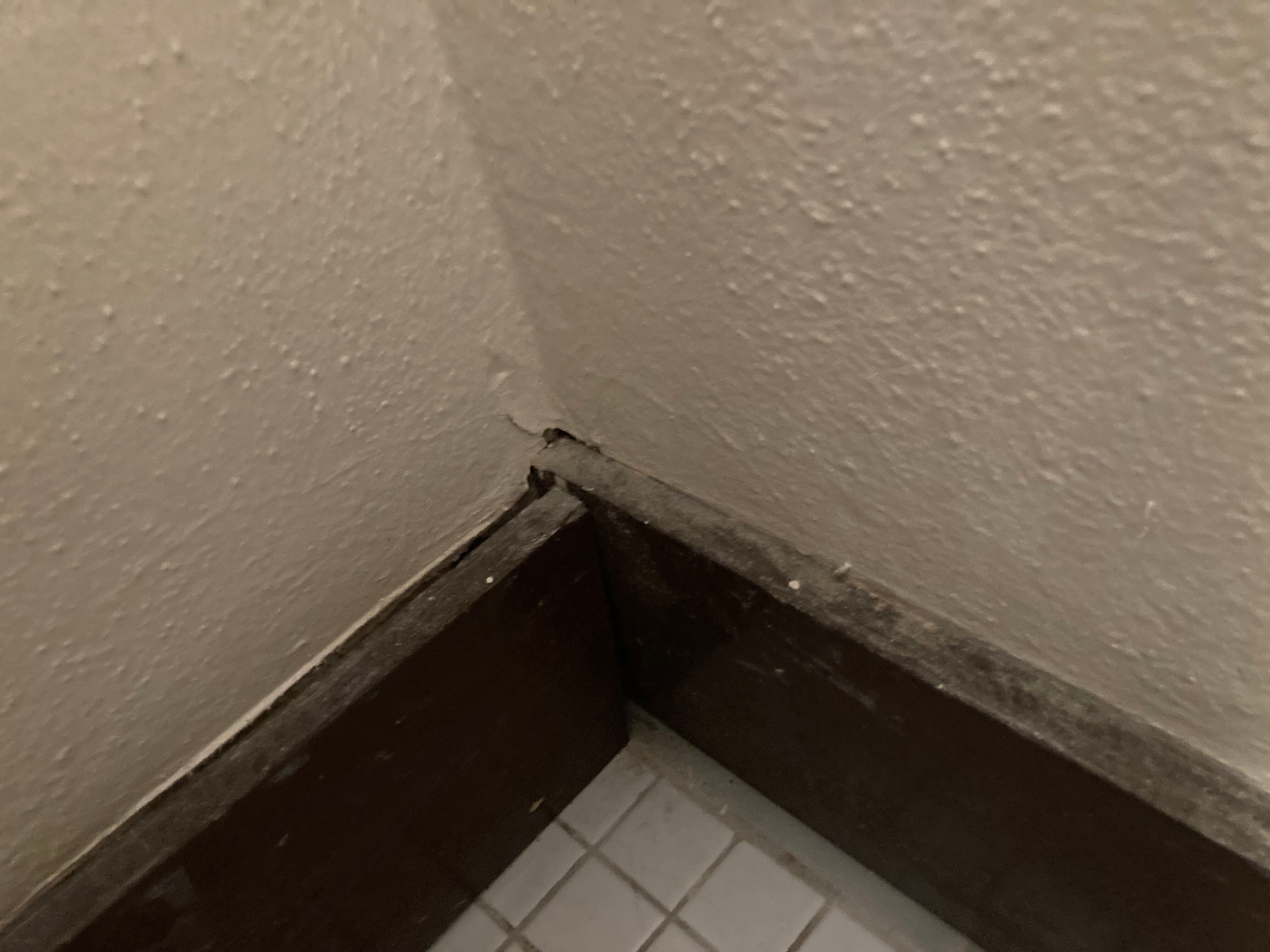 The Hotel Limpia-客卧