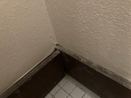 The Hotel Limpia主图