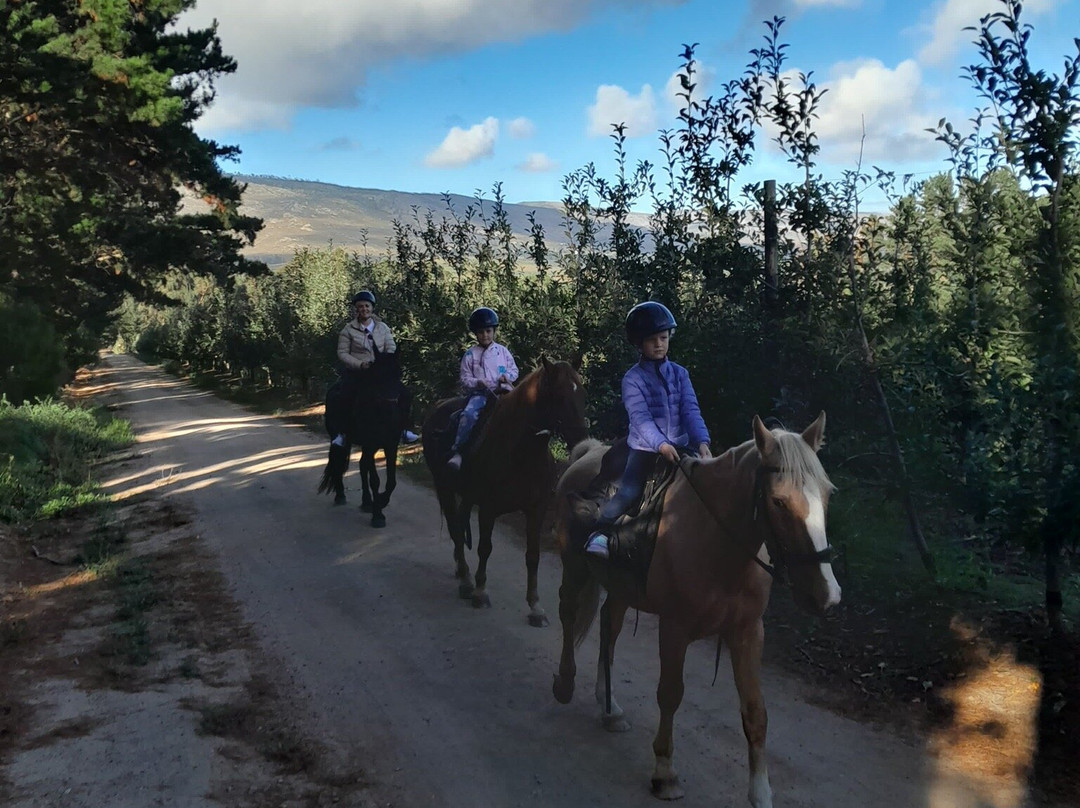 Heaven and Earth Trails-赫曼努斯必去景点