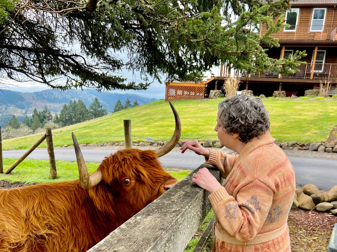 Youngberg Hill主图