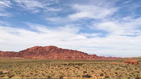拉斯维加斯卡里奇豪斯酒店主图