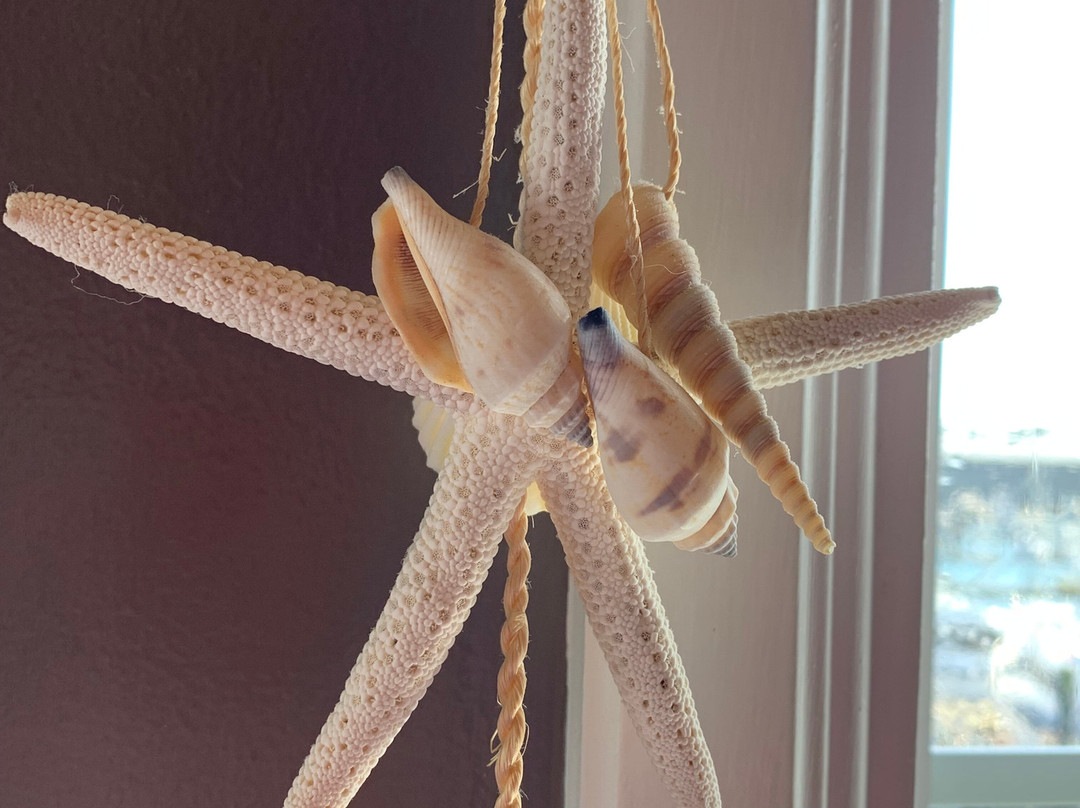 The Newport Belle Riverboat Bed & Breakfast主图