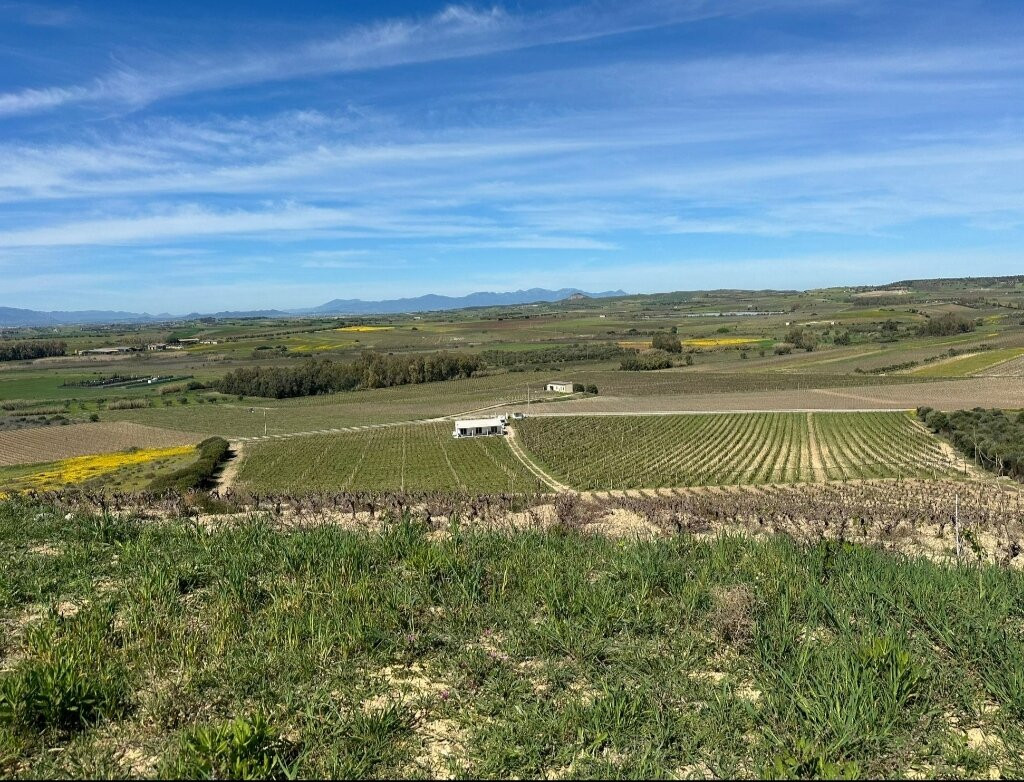 Cantina Mulleri