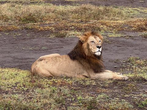 Venture Harmony Safaris Ltd.-阿鲁沙必去景点