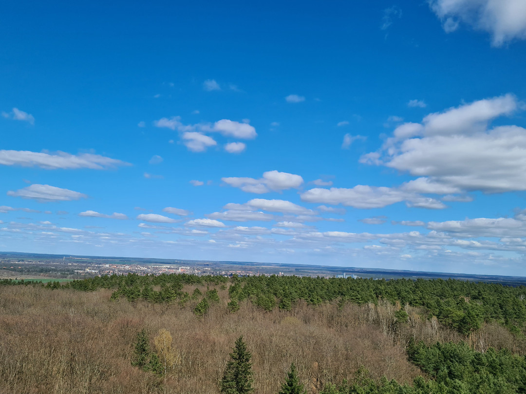 Aussichtsturm Rauener Berge-Rauen必去景点