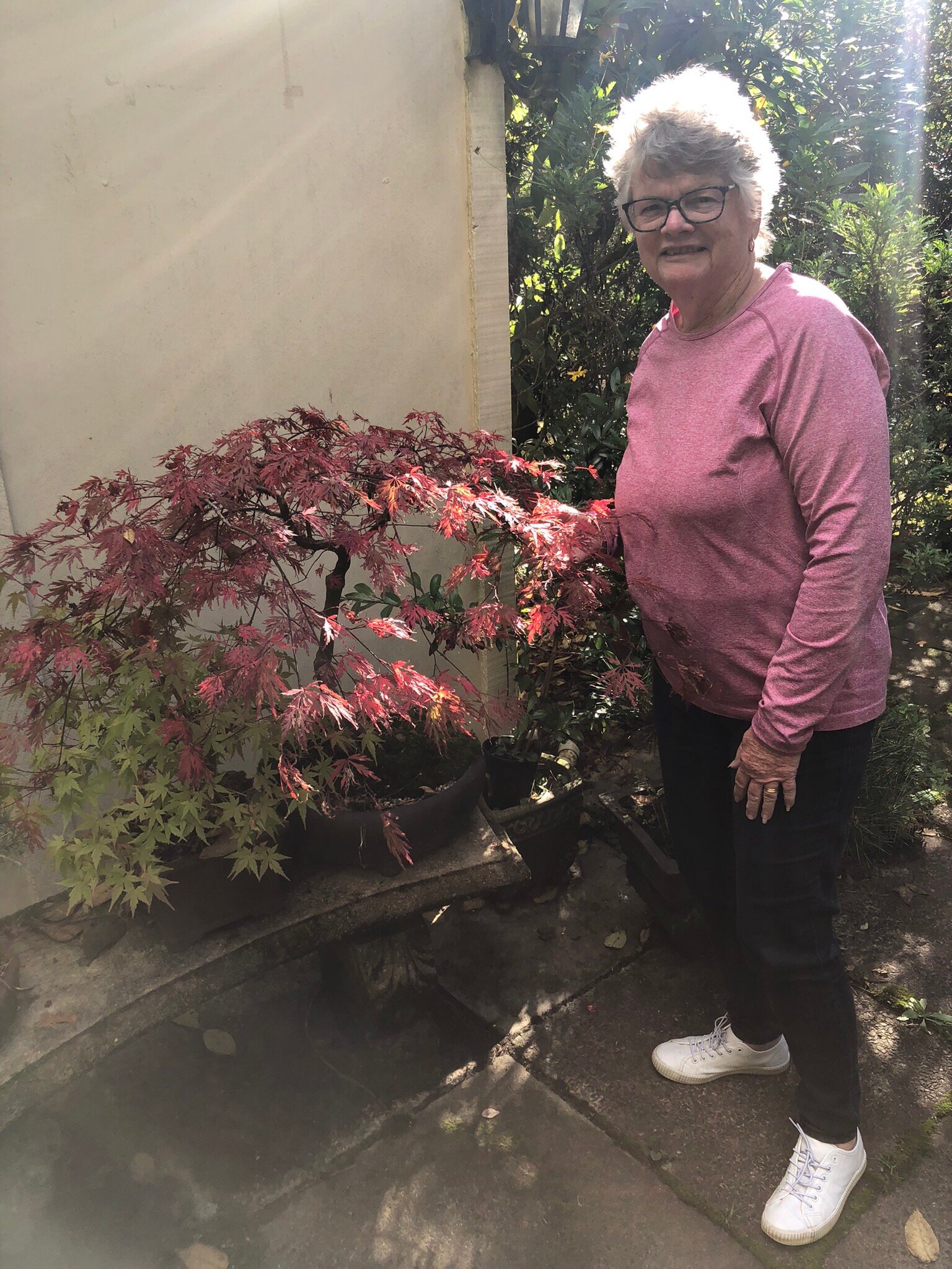 小屋商务宾馆-官方