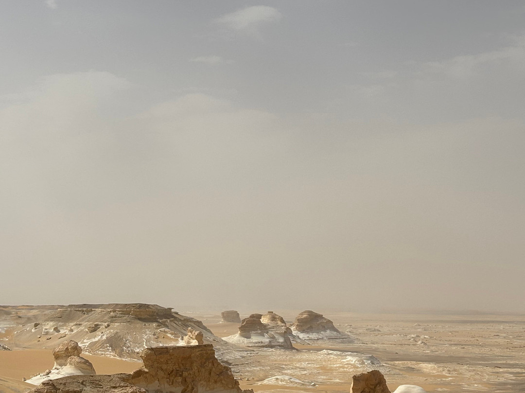Jimmy Egypt Safari景点图片