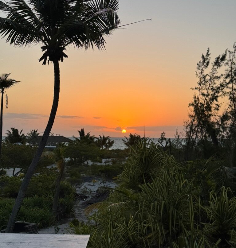 Andros Beach Club主图