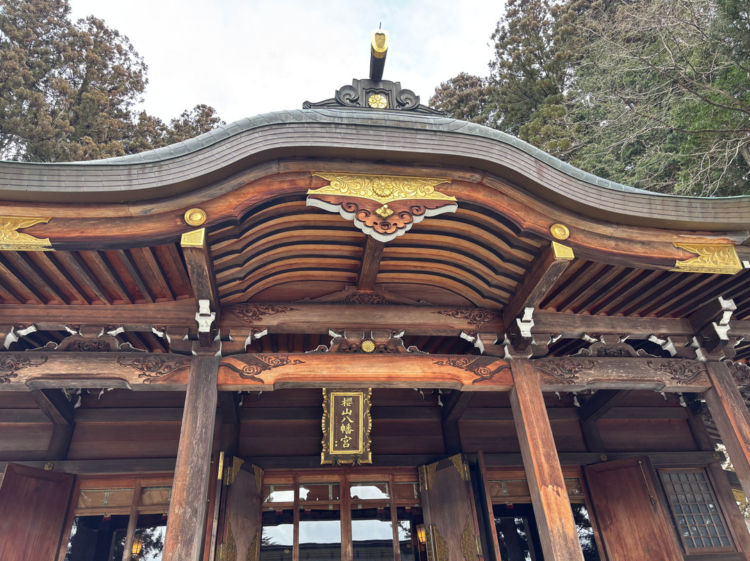 Sakurayama Hachimangu Shrine-高山市必去景点