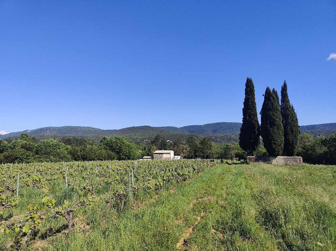 Ardeche Trottinette景点图片
