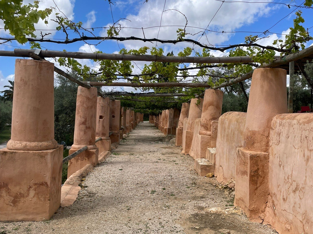 Monterosa Olive Oil Farm-Moncarapacho必去景点