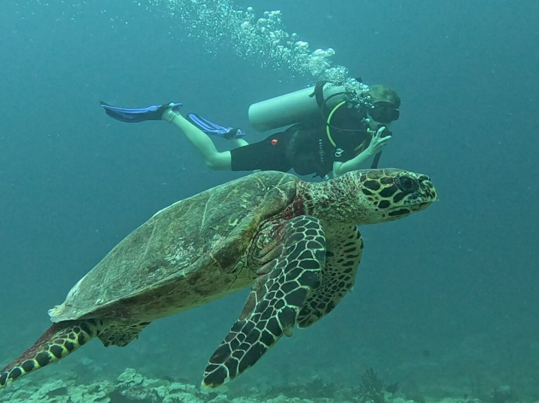Euro-Divers Kagi-Kagi必去景点