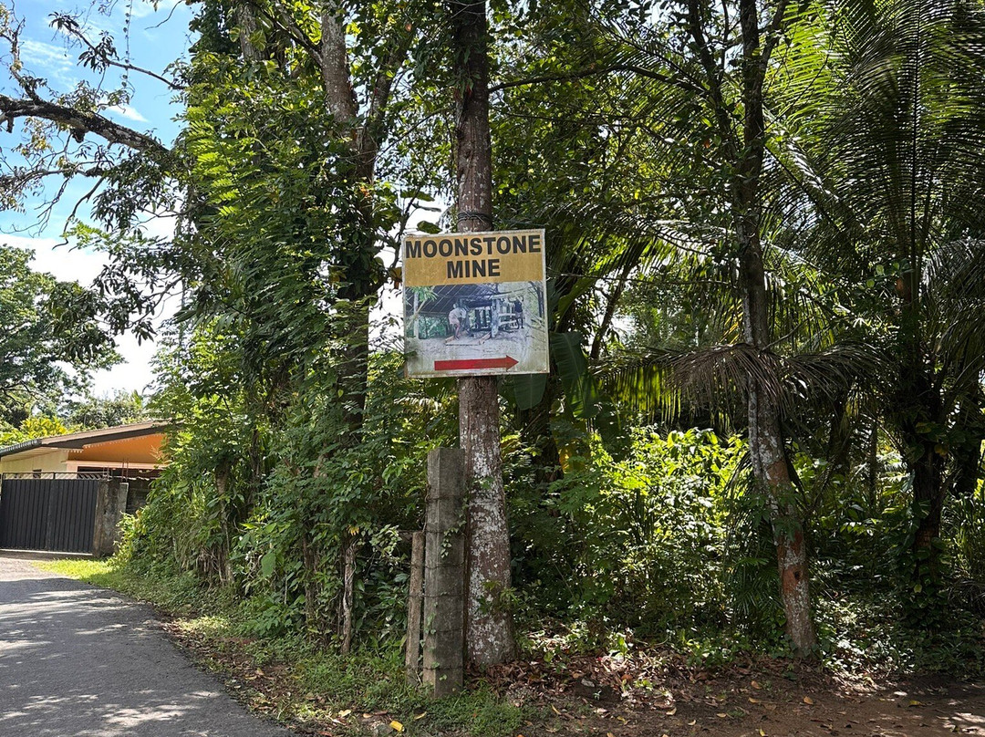 Jetwings Lanka Tours-Delgoda必去景点