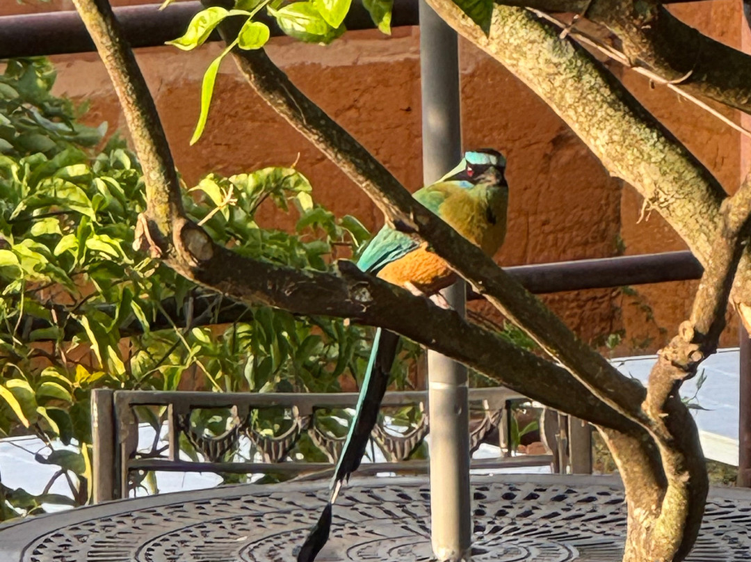 Casa Barichara Boutique主图