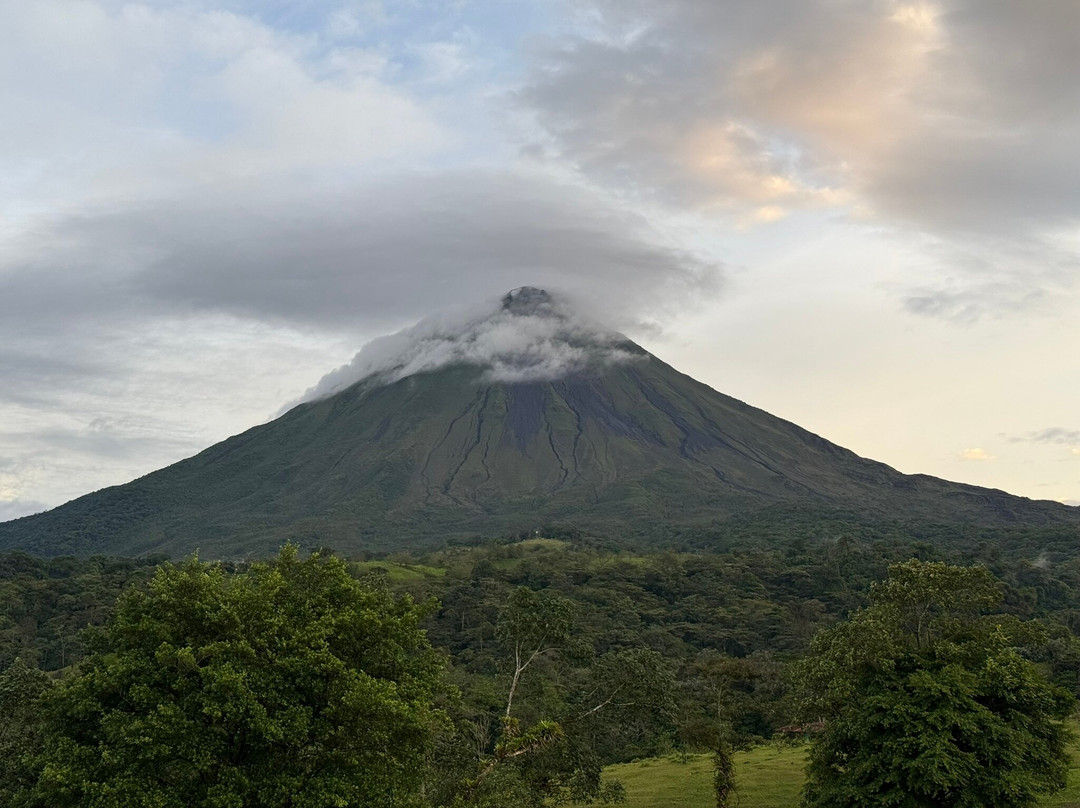 Café Raúl Castaño Fortuna