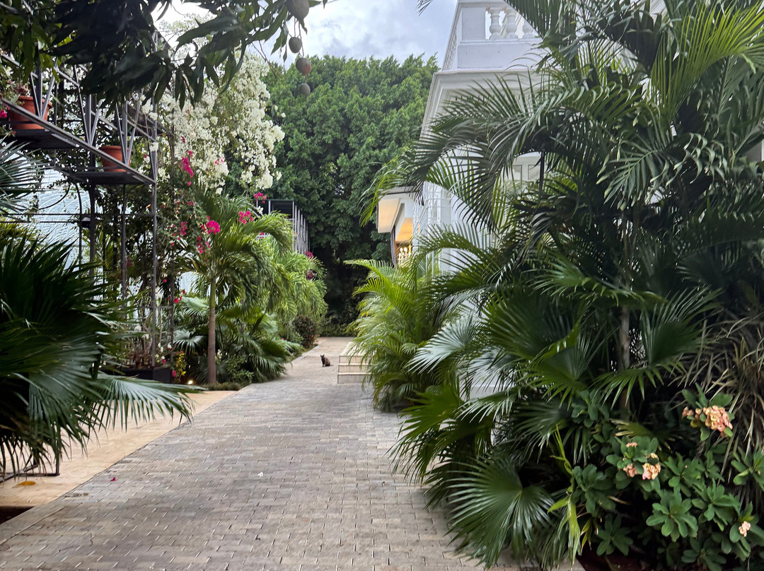 Casa Italia Restaurant