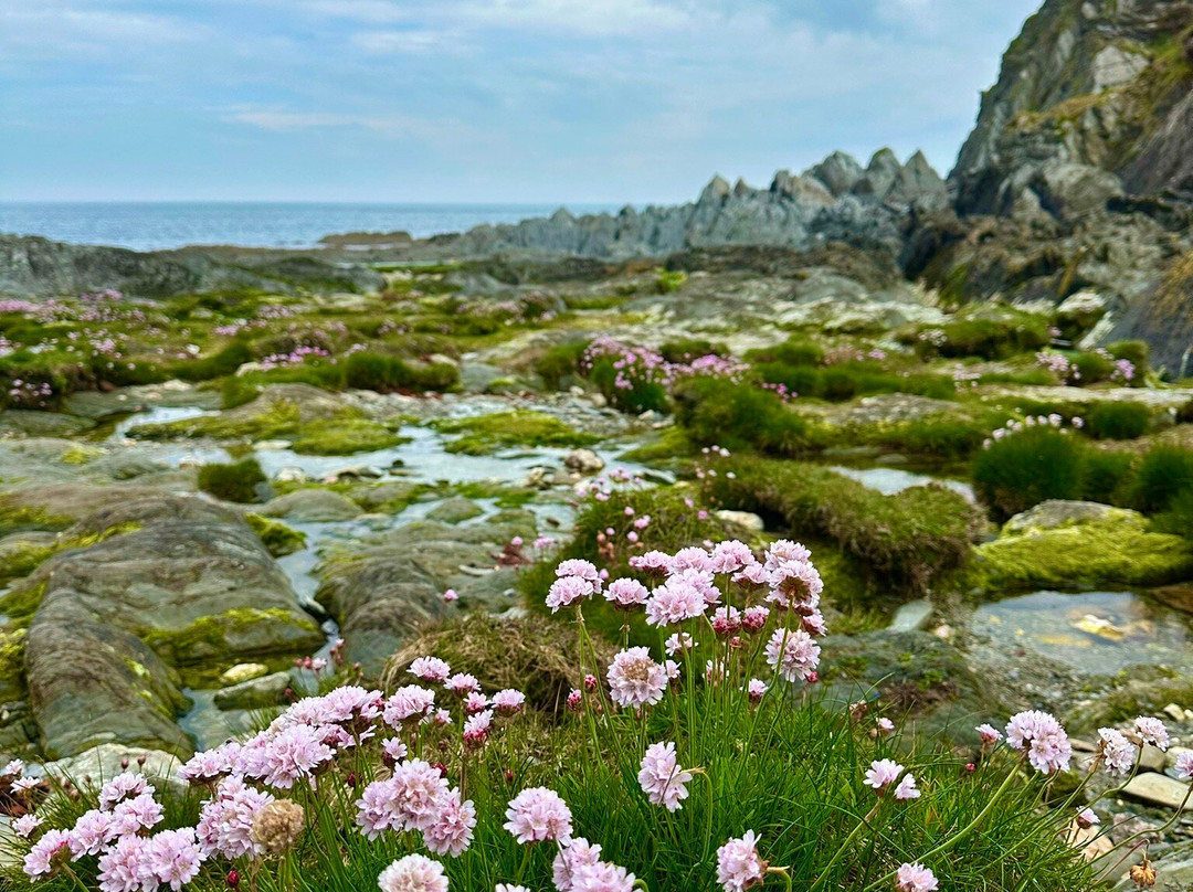 Bull Point Lighthouse-Mortehoe必去景点
