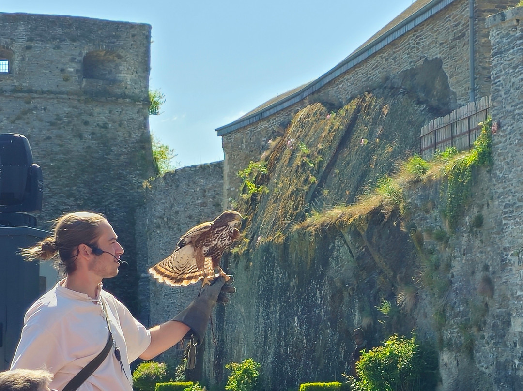 Bouillon Castle景点图片