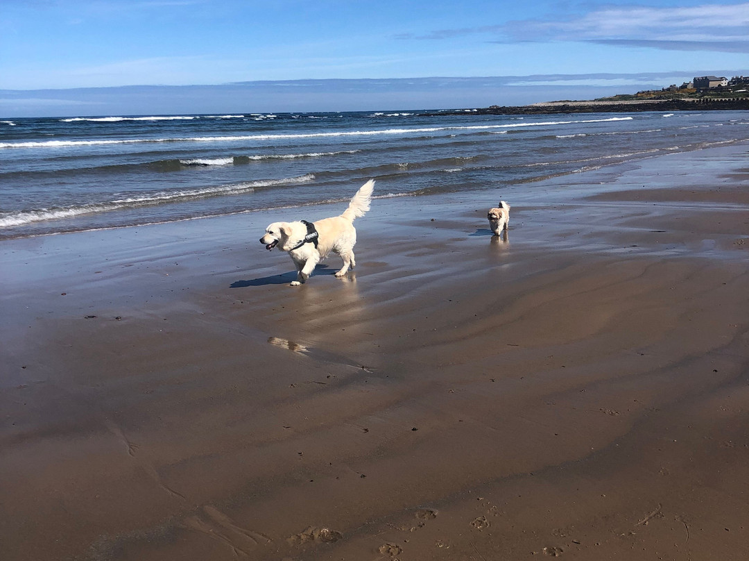 Lossiemouth East Beach-Lossiemouth必去景点