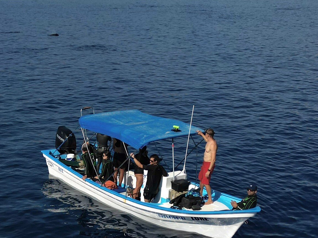 Baja Wild Encounters-La Ventana必去景点