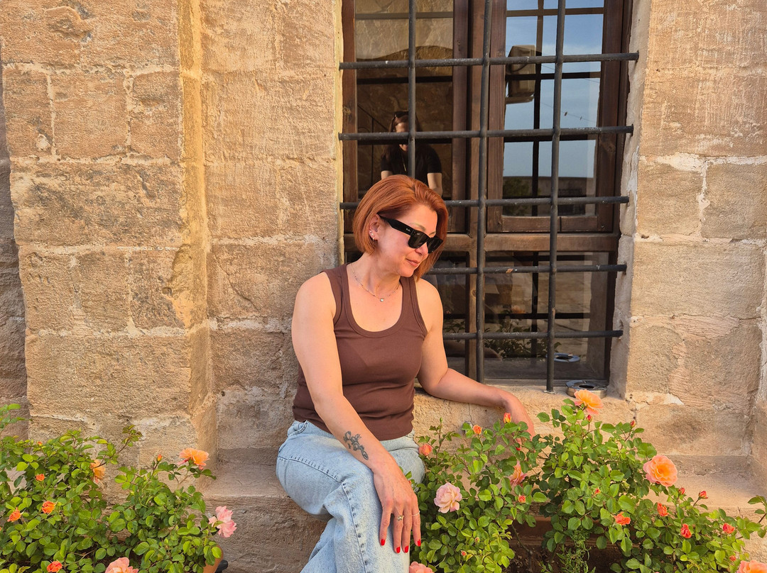 Nahıl Misafirevi Mardin主图