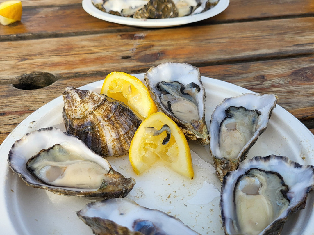 Whitstable Harbour-惠茨特布尔必去景点