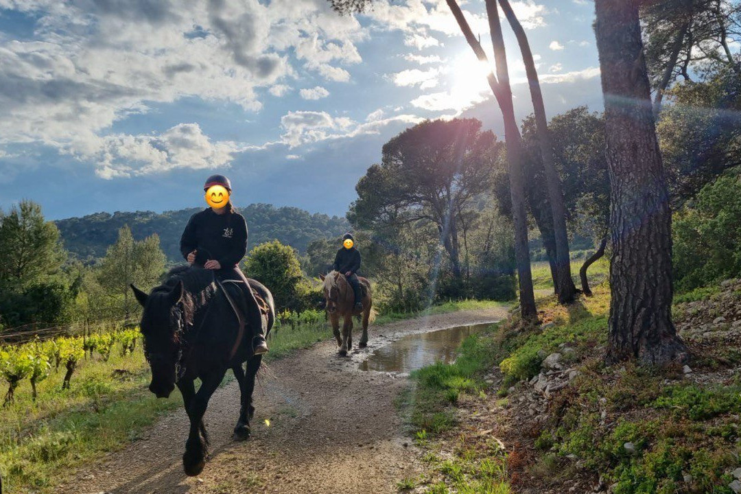 Horse Aventure-Saint-Bauzille-de-Montmel必去景点