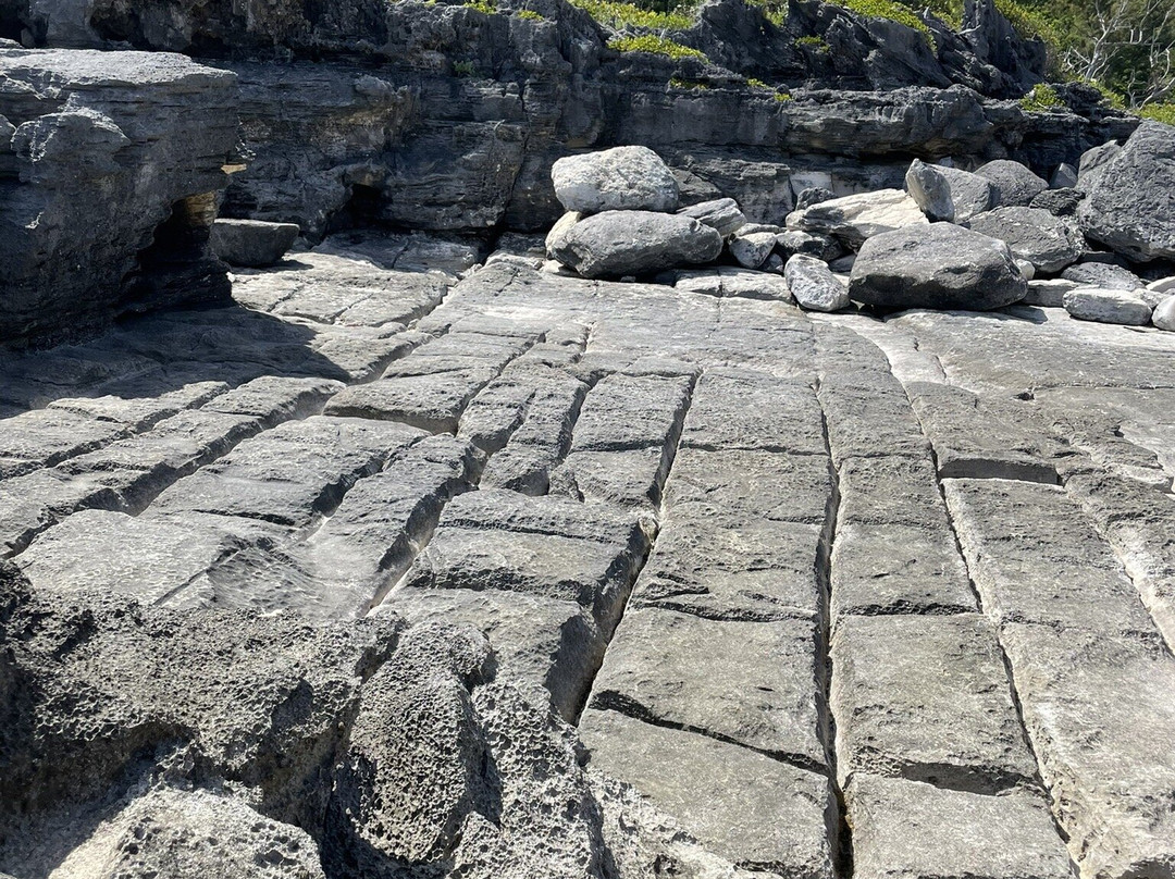 Spittal Pond Nature Reserve-百慕大必去景点