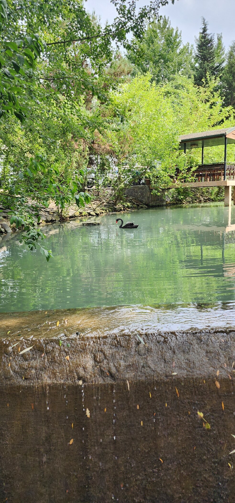 River Inn Resort And Spa-官方