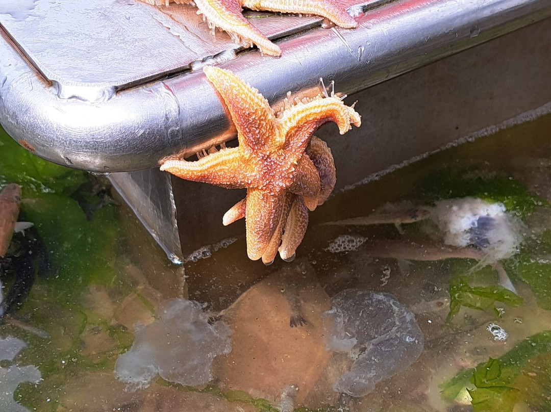 Expeditie Waddenzee-Ballum必去景点
