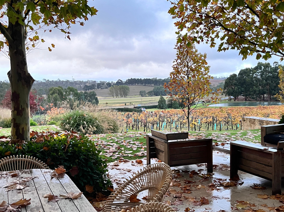 Cellar Door Tours-阿德莱德必去景点