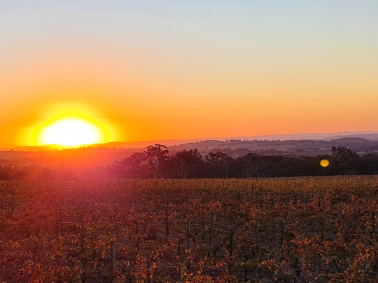 Country Food Trails-奥兰治必去景点